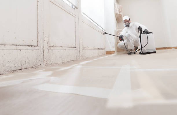 24/7 Emergency Mold Remediation experts in Franklin Park, NJ